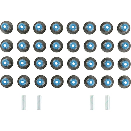 Reinz Engine Valve Stem Oil Seal Set, 12-10115-01 12-10115-01